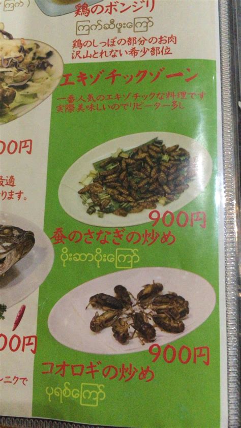 10:01 gontv traveling 8 639 просмотров. 『虫料理が食べられる珍しいミャンマー・シン族料理の店です ...