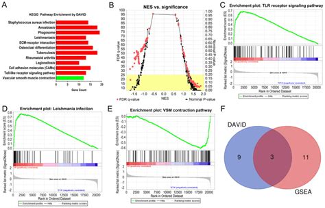 Enrichment analysis provides one way of drawing conclusions about a set of differential expression results. Bioinformatics analysis of gene expression profile data to ...