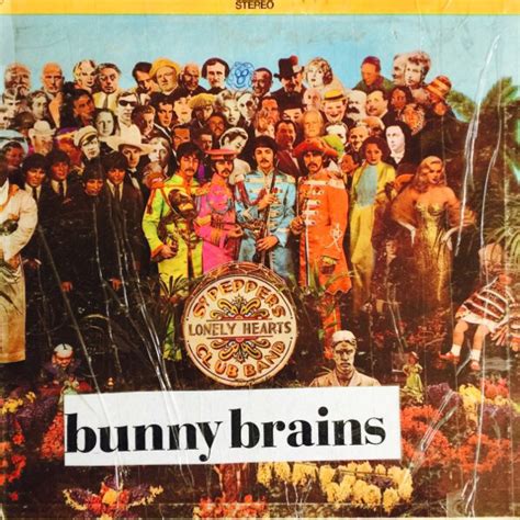 Bunny Brains Double Album Releases Discogs