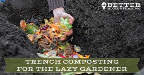 Trench Composting For The Lazy Gardener Complete How To Guide