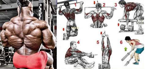 5 No Bs Best Back Exercises For Super Explosive Muscle Growth Bodydulding