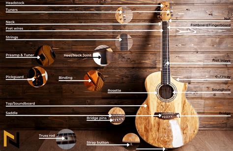 Anatomy Of An Acoustic Guitar Parts Explained