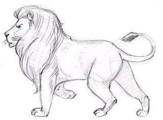 Löwe zeichnen - Schritt für Schritt-dekoking.com-5 in 2019 ...