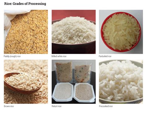 Types Of Wheat Rice And Corn Husse Uk