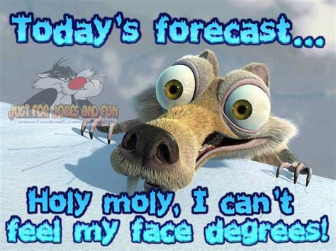This morning is cold, isn't it advisable that you should take some tuesday morning motivational quotes for work. Todays Forecast Holy Crap I Cant Feel My Face Degrees ...
