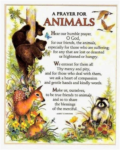 Prayer for a sick animal. Pin by sara on These are a few of my favorite things ...