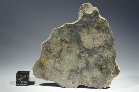 Nwa 12773 Eucrite Meteorite Full Slice Weighing 129g Msg Meteorites