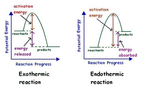 Endothermic Reaction Careers Today