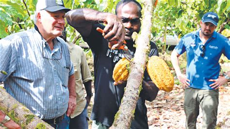 Cocoa Farmers Receive K6 Million Boost Post Courier