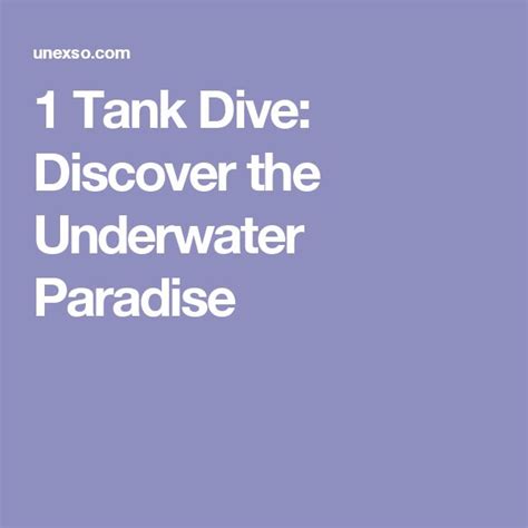 1 Tank Dive Discover The Underwater Paradise Underwater Discover
