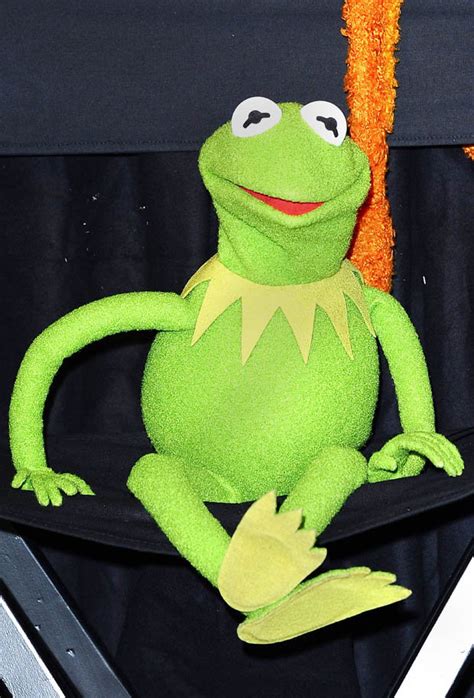 Kermit Says Scotland Are Muppets If They Break From The Uk At The