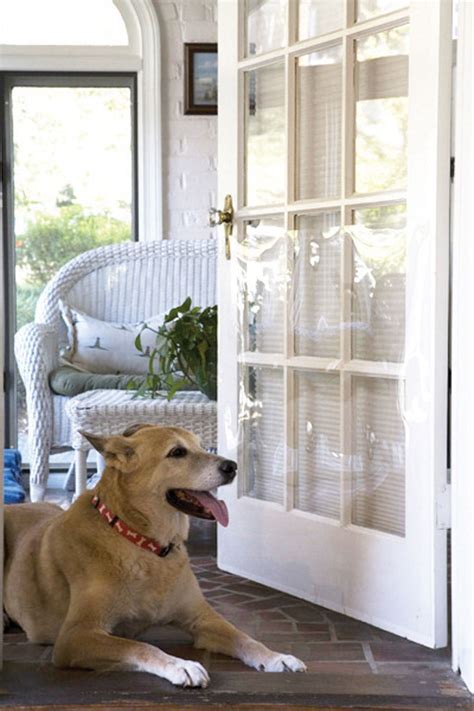 The Door Shield Prevent Pet Scratches Pet Products Cardinal Gates