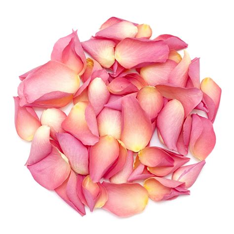 Pretty In Pink Rose Petals Petal Confetti Freeze Dried Rose Petals