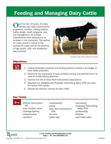 Feeding And Managing Dairy Cattle