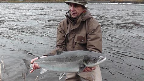 48 948 просмотров 48 тыс. Salmon Fishing Scotland.: Salmon Fishing Scotland Spring ...
