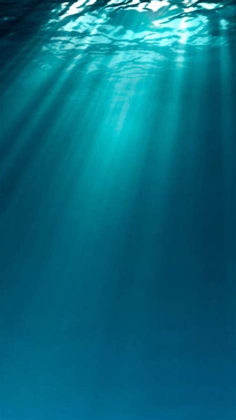 Underwater Underwater Photography Ocean Deep Blue Sea