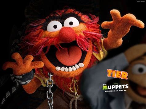 114 best images about Animal Muppet on Pinterest | The muppets, Drums