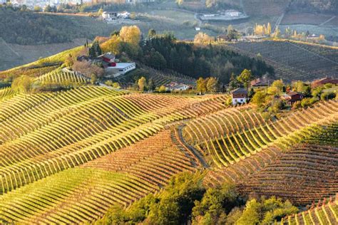 Autumn In Northern Italy Region Called Langhe With Colorful Wine Stock