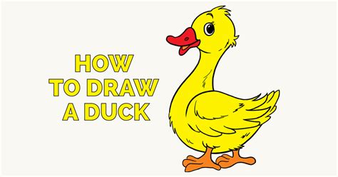 How To Draw A Duck In A Few Easy Steps Easy Drawing Guides Drawing