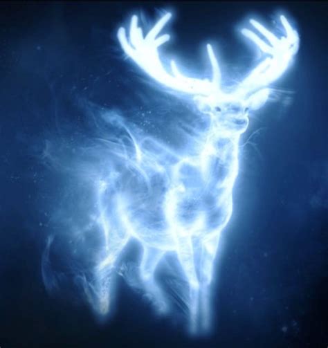 pin by ah sha on harry potter gallery wall harry potter patronus harry potter love harry potter