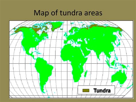 Ppt Tundra Powerpoint Presentation Free Download Id2479459