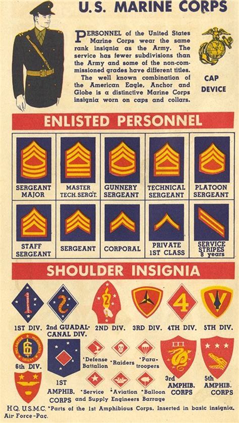 Usmc Insignia Circa 1942 Marine Corps Ranks Military Insignia