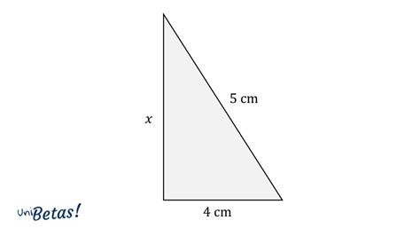 Aplicacion Del Teorema De Pitagoras Ejercicios De Trigonometria De