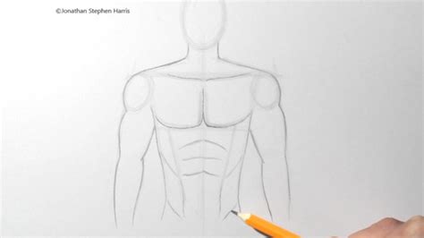 How To Draw A Male Torso Body For Beginners Youtube