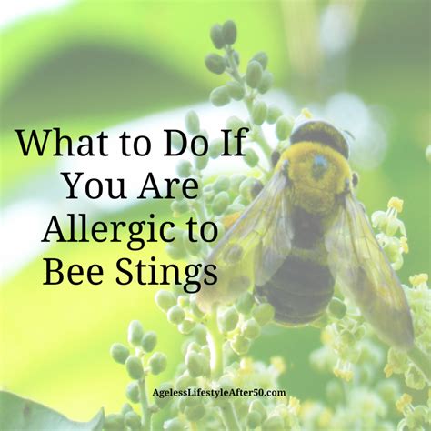 What To Do If You Are Allergic To Bee Stings Lynn Pierce Ageless