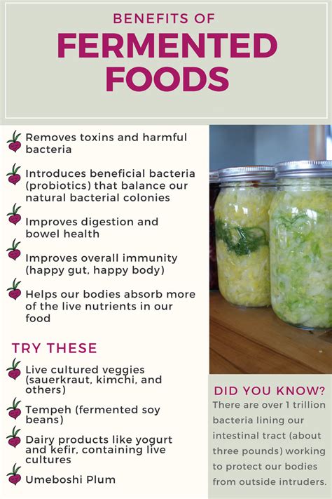 Physical benefits mental benefits spiritual benefits. 11 Health Benefits of Fermented Food in Your Child's Diet ...