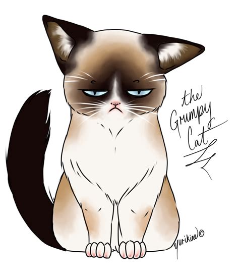 Grumpy Cat By Yurikine On Deviantart Cartoon Cat Drawing Grumpy Cat