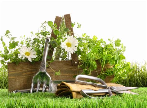 Spring Gardening Tips Spring Gardening Ideas Lovell Homes