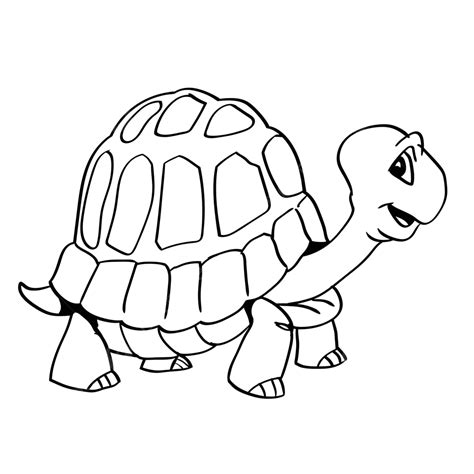 Hand Drawn A Turtle Cartoon Vector Illustration Background Wildlife