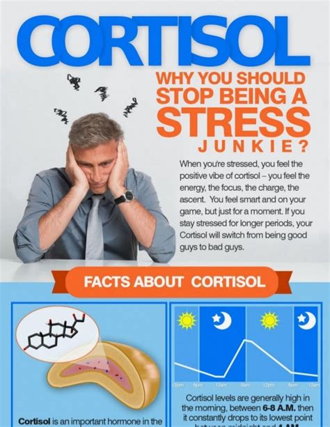Cortisol Why You Should Stop Being A Stress Junkie