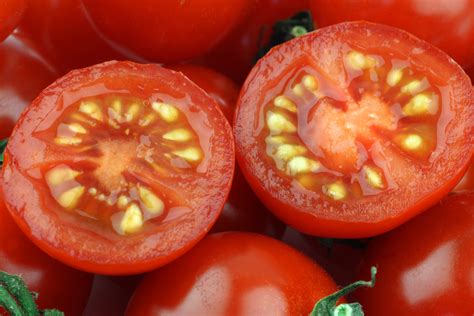 Saving Tomato Seeds How To Save Heirloom Tomato Seeds