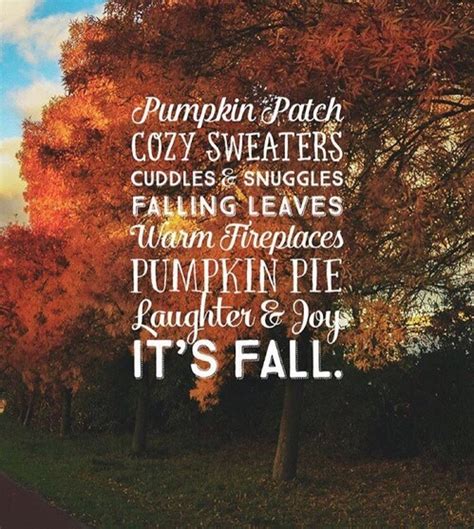 Sweater weather is our favorite weather! autumn, fall, leaves, pumpkin, sweater weather - image ...