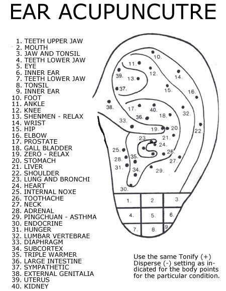 34 Ear Piercings Chart Ideas Ear Piercings Ear Piercings