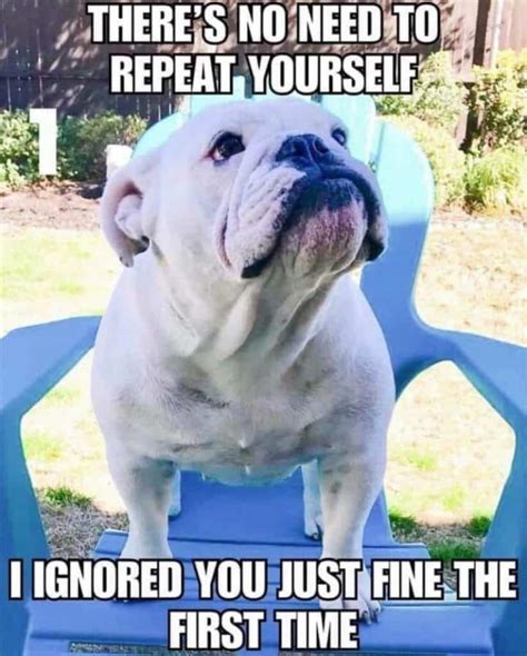 Funniest Bulldog Meme