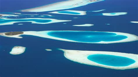 Visit South Ari Atoll 2022 Travel Guide For South Ari Atoll Maldives