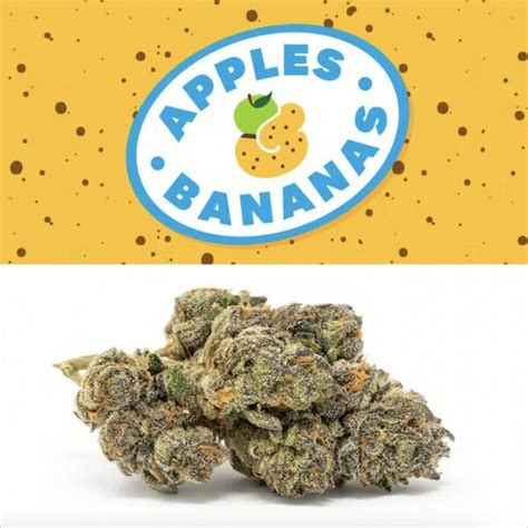 Apples And Bananas Strain Review And Information 2024