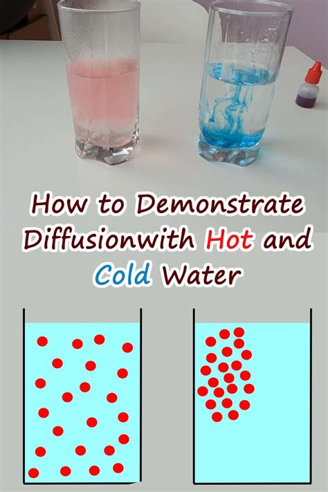 How To Demonstrate Diffusion Using Water Stem Little Explorers