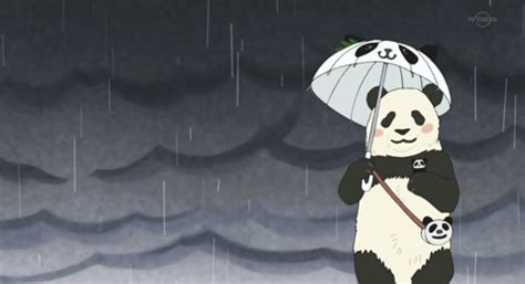 Panda Kun ~ Shirokuma Cafe Anime Panda Love Panda