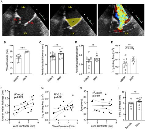 Mitral Regurgitation Is Associated With Leaflet Thickening And