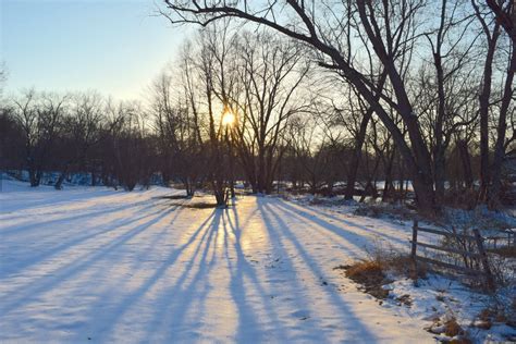 Free Images Tree Path Outdoor Walking Snow Cold Winter People