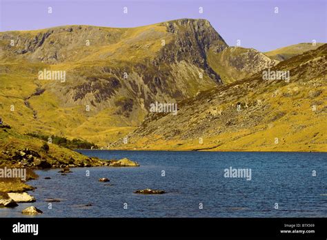 View Of Llyn Ogwen Stock Photo Alamy