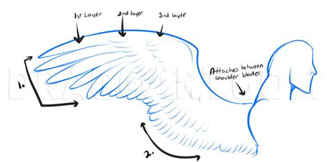 How To Draw Anime Wings Draw An Anime Angel By Dawn