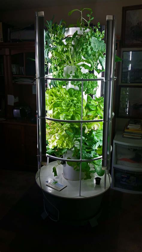 You basically utilize the vertical space to satiate the desire for growing plants. Indoor-Vertical-Garden-Tower-Garden | Growing Plants ...