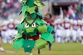 Stanford Tree: Stanford's Unofficial Mascot Explained