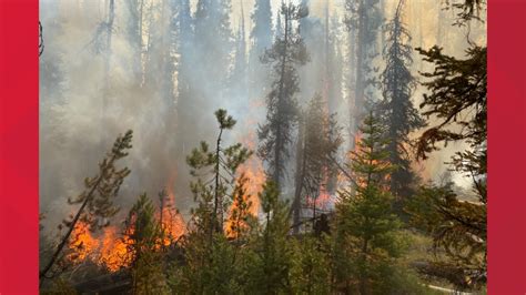 Highway 21 Reopens Near Stanley Trap Creek Fire Becomes More Active