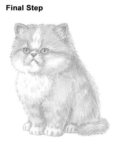 Hand drawn lazy cat cat hug cat cat board painted cartoon cat kitten. How to Draw a Kitten (Persian)